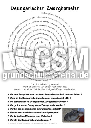 Dsungarischer Zwerghamster.pdf